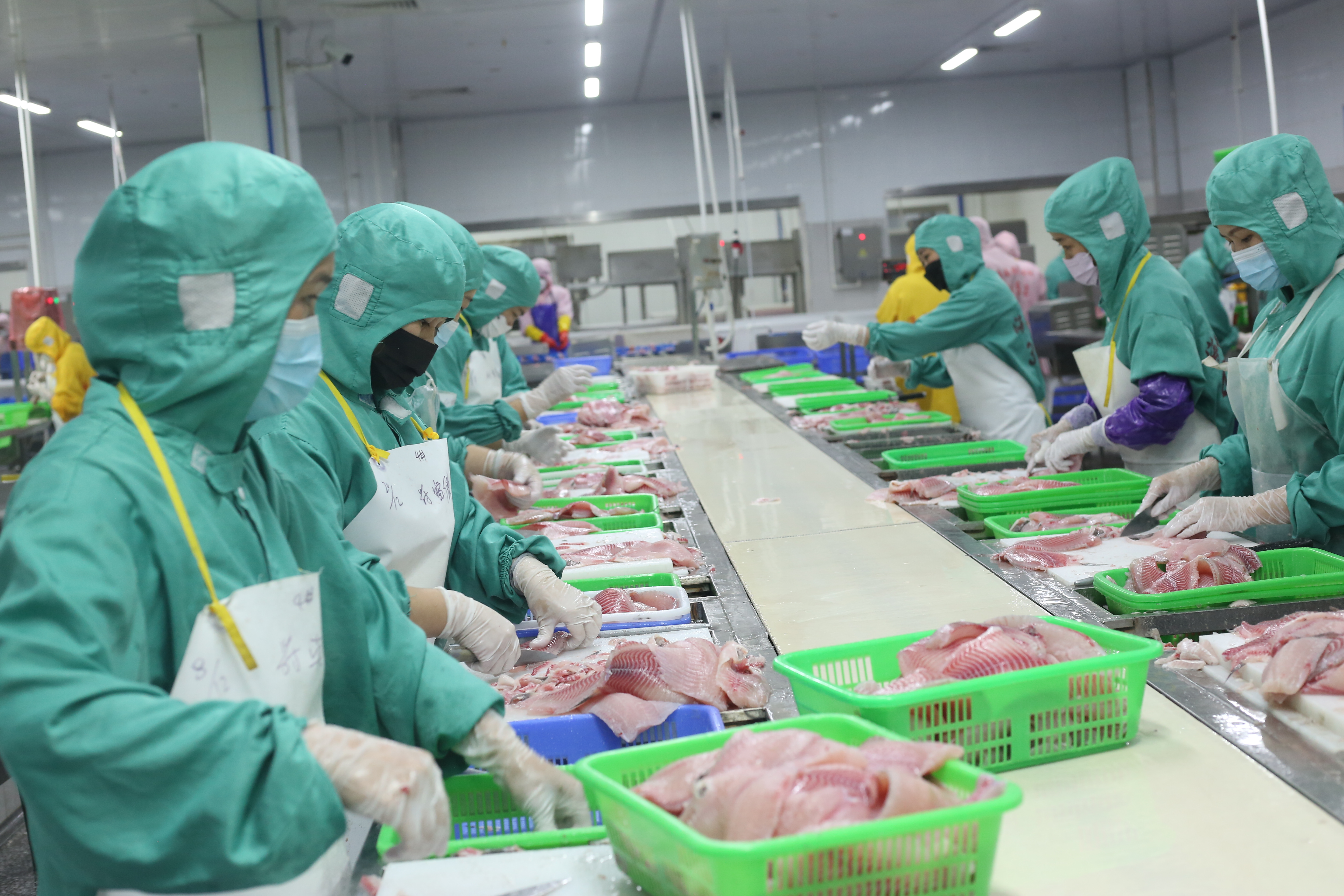 首頁（BASE DISPLAY）右側01