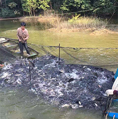 關(guān)于我們（QUALIFICATION）03