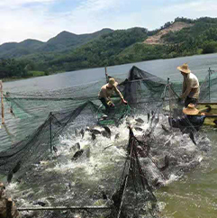 關(guān)于我們（QUALIFICATION）01